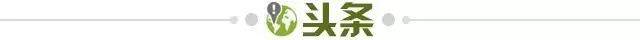 【早报】联赛五连胜，冠军才是目标